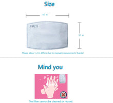 Load image into Gallery viewer, PM 2.5 Filter