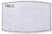 Load image into Gallery viewer, PM 2.5 Filter