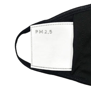 PM 2.5 Filter